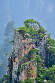 Famous tourist attraction of China - Zhangjiajie stone pillars cliff mountains on sunset at Wulingyuan, Hunan, China