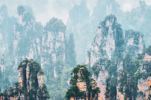 Famous tourist attraction of China - Zhangjiajie stone pillars cliff mountains in fog clouds at Wulingyuan, Hunan, China