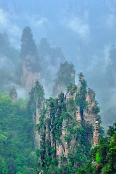 Famous tourist attraction of China - Zhangjiajie stone pillars cliff mountains in fog clouds at Wulingyuan, Hunan, China