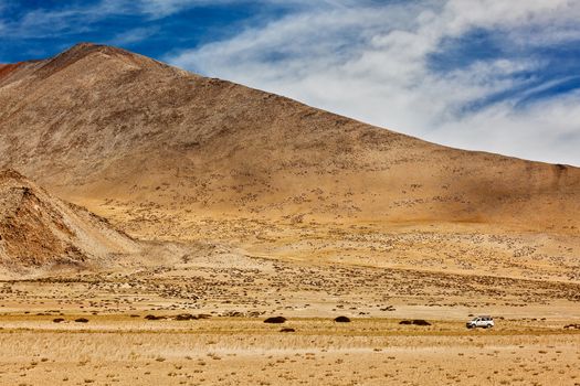 Car in Himalayas. Near Tso Kar lake, Ladakh, Jammu and Kashmir, India