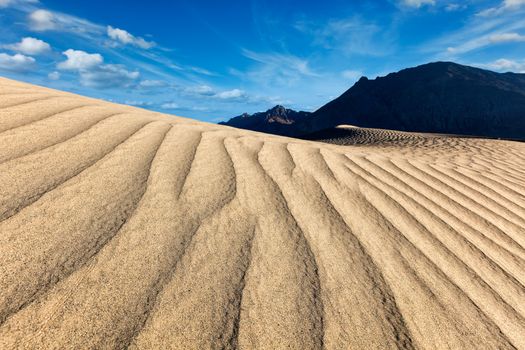 Sand dunes in Nubra valley in Himalayas. Hunder, Nubra valley, Ladakh