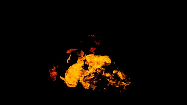 Fire flames on black background isolated. Burning gas or gasoline burns with fire and flames. Flaming burning sparks close-up, fire patterns. Infernal glow of fire in the dark with copy-space