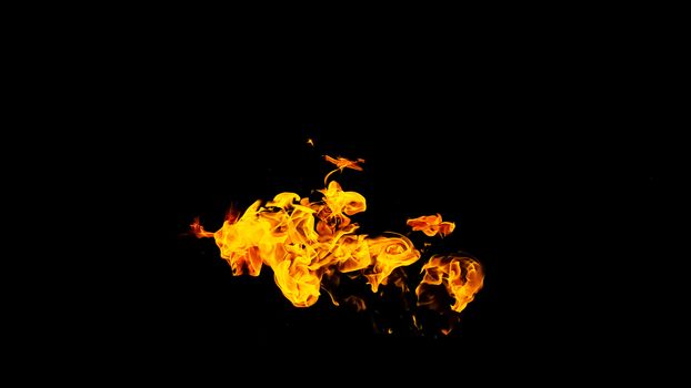 Fire flames on black background isolated. Burning gas or gasoline burns with fire and flames. Flaming burning sparks close-up, fire patterns. Infernal glow of fire in the dark with copy-space