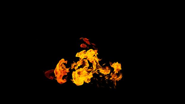 Fire flames on black background isolated. Burning gas or gasoline burns with fire and flames. Flaming burning sparks close-up, fire patterns. Infernal glow of fire in the dark with copy-space