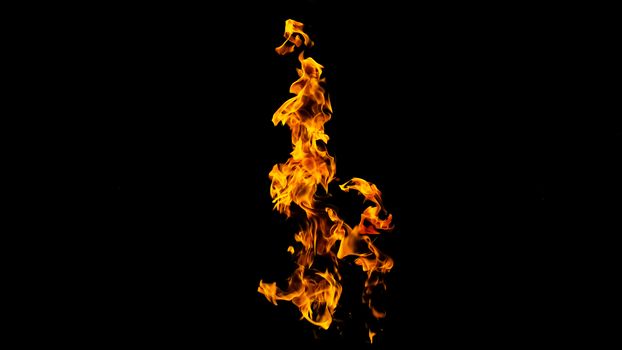 Fire flames on black background isolated. Burning gas or gasoline burns with fire and flames. Flaming burning sparks close-up, fire patterns. Infernal glow of fire in the dark with copy-space