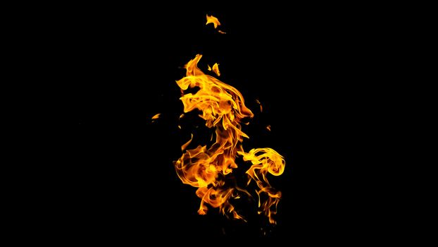 Fire flames on black background isolated. Burning gas or gasoline burns with fire and flames. Flaming burning sparks close-up, fire patterns. Infernal glow of fire in the dark with copy-space