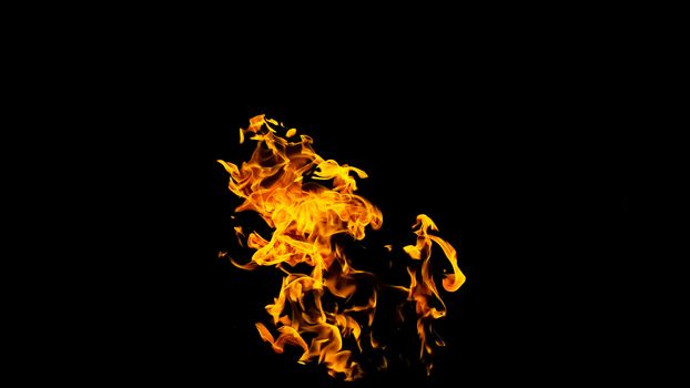 Fire flames on black background isolated. Burning gas or gasoline burns with fire and flames. Flaming burning sparks close-up, fire patterns. Infernal glow of fire in the dark with copy-space