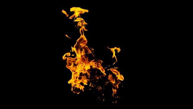 Fire flames on black background isolated. Burning gas or gasoline burns with fire and flames. Flaming burning sparks close-up, fire patterns. Infernal glow of fire in the dark with copy-space