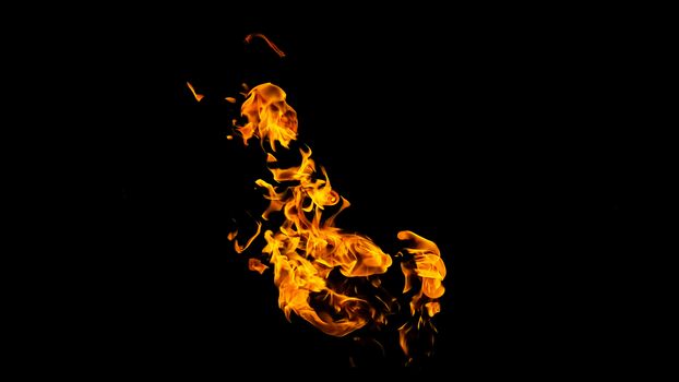 Fire flames on black background isolated. Burning gas or gasoline burns with fire and flames. Flaming burning sparks close-up, fire patterns. Infernal glow of fire in the dark with copy-space