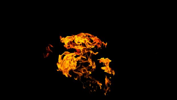 Fire flames on black background isolated. Burning gas or gasoline burns with fire and flames. Flaming burning sparks close-up, fire patterns. Infernal glow of fire in the dark with copy-space