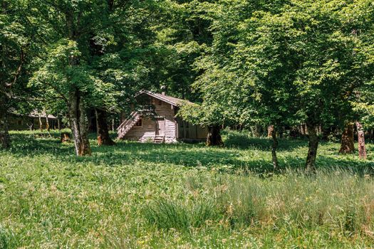 Chalet in Koenigsee, Koenigssee, Berchtesgaden National Park, Bavaria Germany. Chalet in the park between the trees.