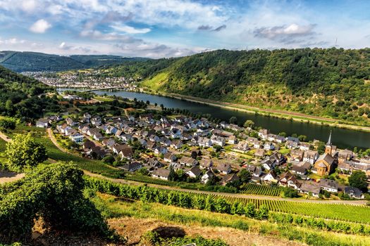 Moselle valley Germany: view from Thurant castle to the city of Alken with vineyards and Moselle river in summer, Germany Europe.  Thurant castle