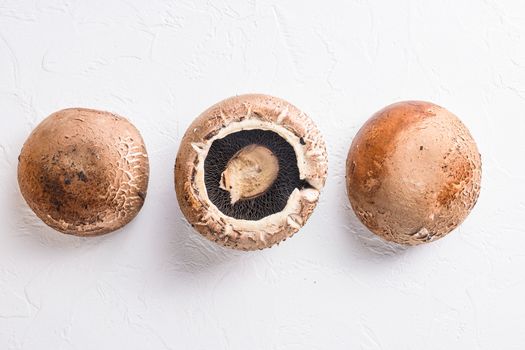 Portobello mushrooms set on white concrete background top view