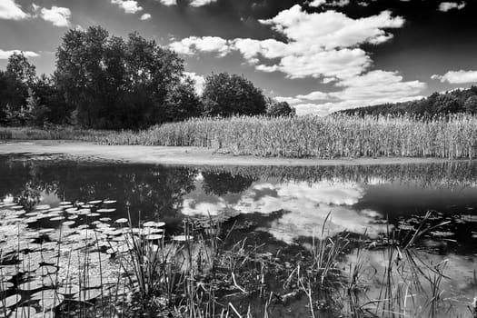 Rural landscape with a lake on a cloudy day in Poland, black and white