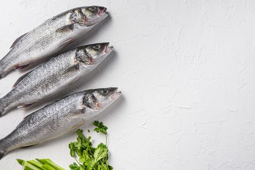 Set of whole raw sea bass with spices and herbs ingredients on chopping board over white textured background top view space for text