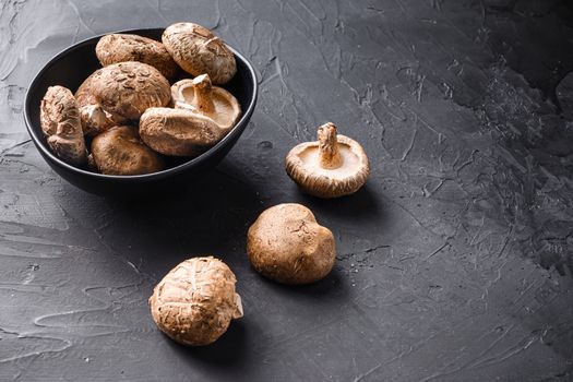 Shiitake mushrooms set on black background side view space for text