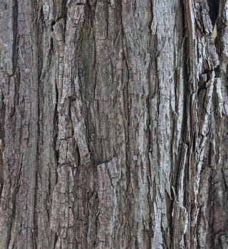 Detailed close up view on different wood surfaces showing planks logs and wooden walls in high resolution