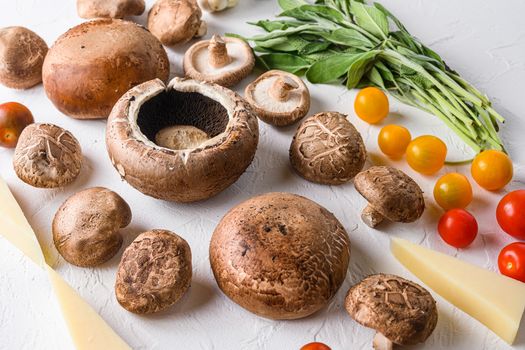 Mushrooms ingredients for baking portobello, cheddar cheese, cherry tomatoes and sage on white background,side view selective focus