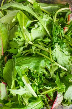 Organic Arugula Chard and Mizuna salad mix in plastic container top view close up