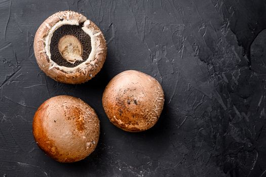 Ripe portobello mushrooms set on black background top view space for text