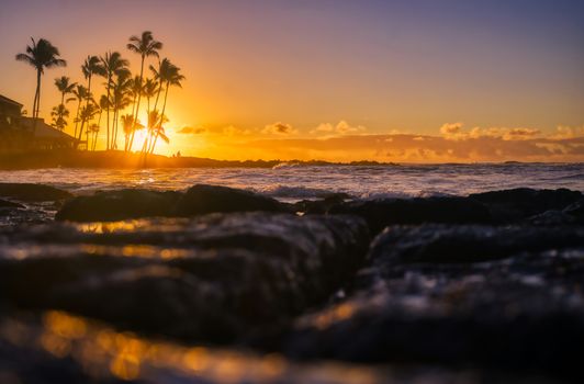 The sunrise over the beach in Kauai, Hawaii