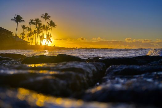 The sunrise over the beach in Kauai, Hawaii