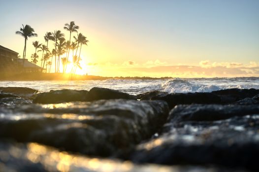 The sunrise over the beach in Kauai, Hawaii