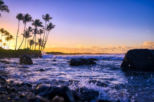 The sunrise over the beach in Kauai, Hawaii