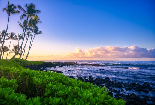 The sunrise over the beach in Kauai, Hawaii