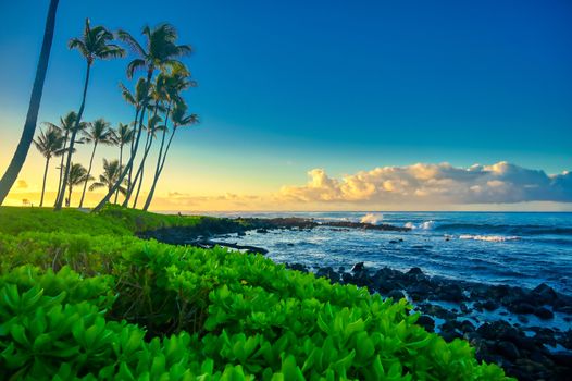 The sunrise over the beach in Kauai, Hawaii