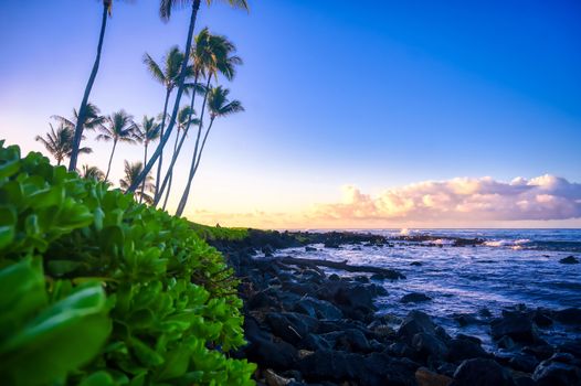 The sunrise over the beach in Kauai, Hawaii