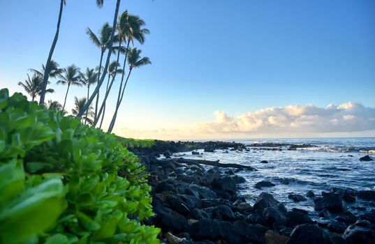 The sunrise over the beach in Kauai, Hawaii