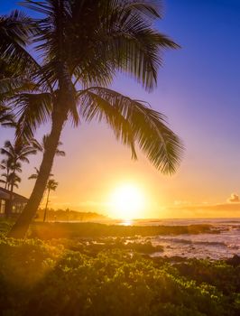 The sunrise over the beach in Kauai, Hawaii