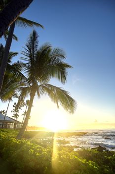 The sunrise over the beach in Kauai, Hawaii