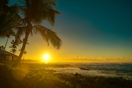 The sunrise over the beach in Kauai, Hawaii