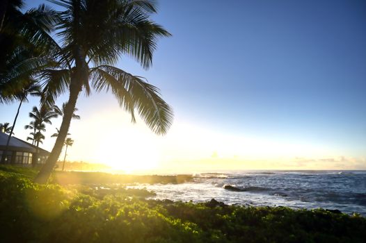 The sunrise over the beach in Kauai, Hawaii