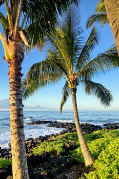 The sunrise over the beach in Kauai, Hawaii