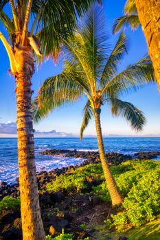 The sunrise over the beach in Kauai, Hawaii