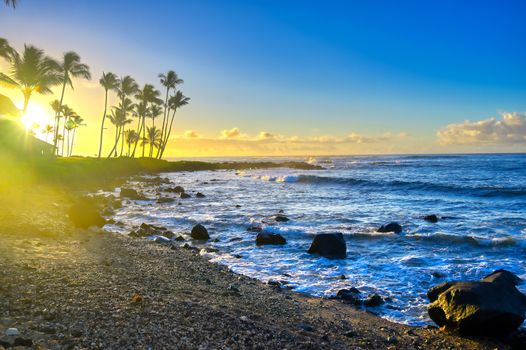 The sunrise over the beach in Kauai, Hawaii