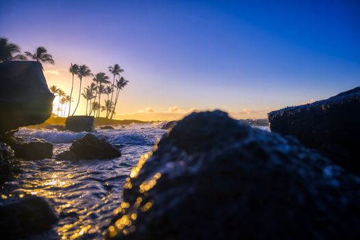 The sunrise over the beach in Kauai, Hawaii