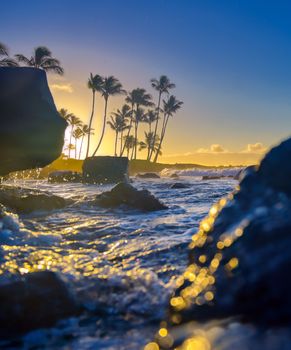 The sunrise over the beach in Kauai, Hawaii