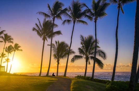 A silhouette watches the sunrise on Kauai, Hawaii.