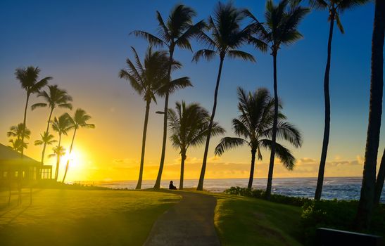 A silhouette watches the sunrise on Kauai, Hawaii.