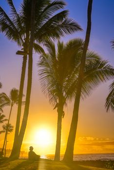 A silhouette watches the sunrise on Kauai, Hawaii.