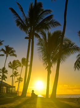 A silhouette watches the sunrise on Kauai, Hawaii.