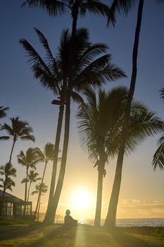 A silhouette watches the sunrise on Kauai, Hawaii.