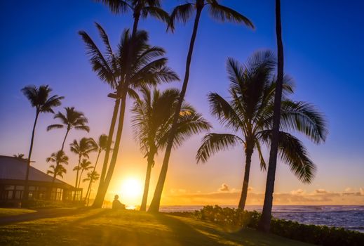 A silhouette watches the sunrise on Kauai, Hawaii.