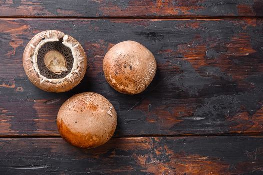 Ripe portobello mushrooms set on dark old wood table top view space for text