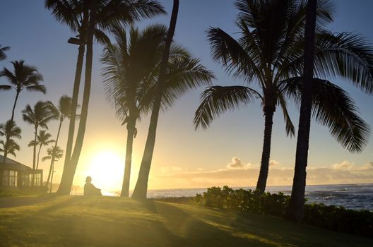 A silhouette watches the sunrise on Kauai, Hawaii.