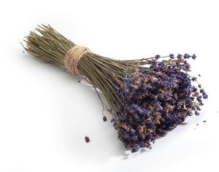 Isolated tied bunch of dry lavender flowers